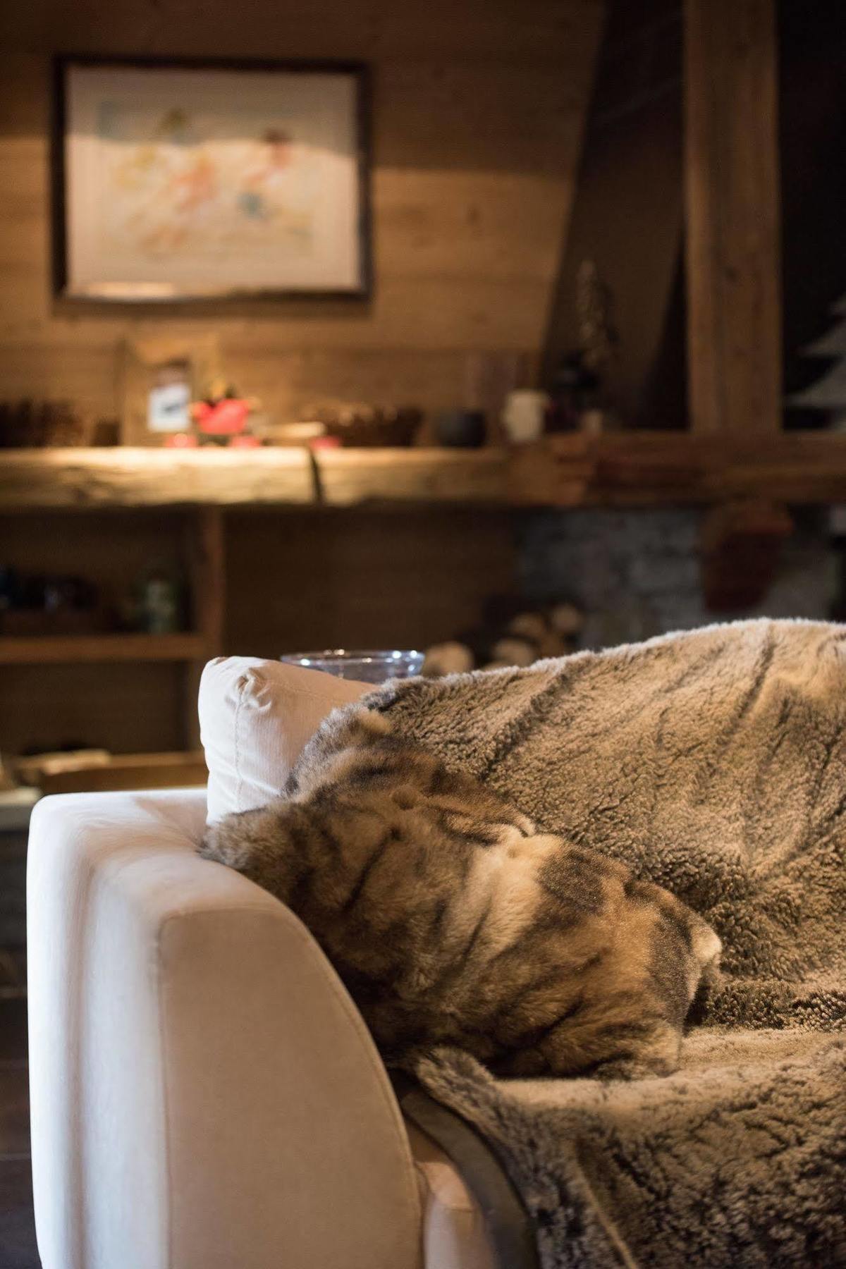 Cgh Residences & Spas Le Ruitor Sainte-Foy-Tarentaise Luaran gambar